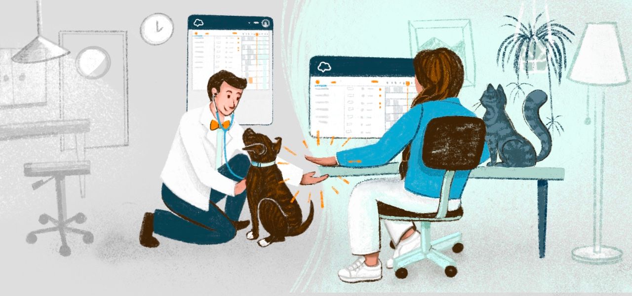 How Instinct Hospitals Get the Most Out of Their Veterinary Workflow Software