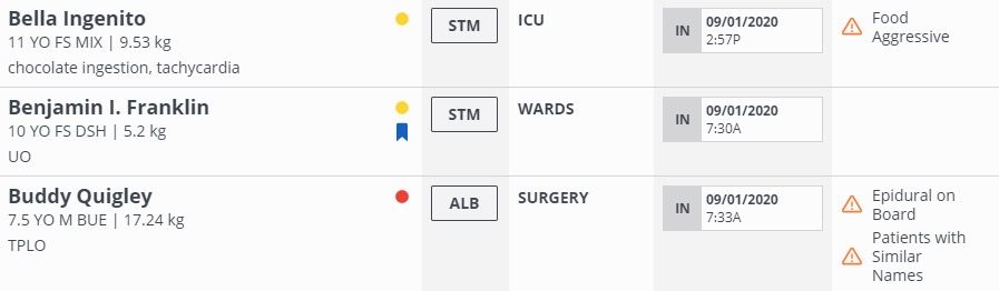 Screenshot showing a list of patients in Instinct with alerts near the names, like 'food aggressive' or 'epidural on board.'